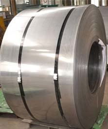  Stainless Steel 304 Coils Supplier in India
