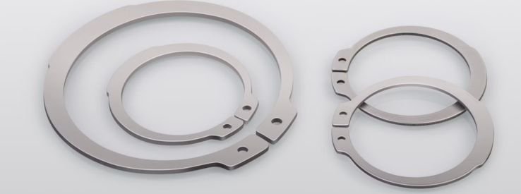 Circlip Spring Manufacturer in India