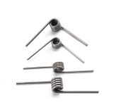 Torsion Spring Supplier