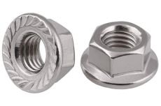 Flange Nuts Manufacturer in India