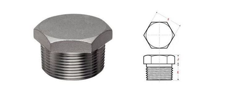 Plug Forged Fittings Manufacturer & Supplier in India