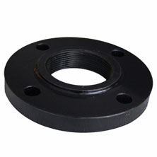 Companion Flange
