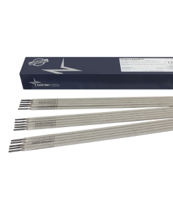Low Hydrogen Electrode Supplier in India