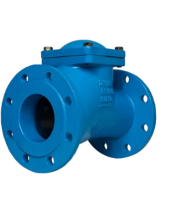 Check Valve Supplier in India