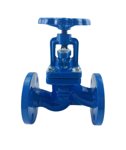 Globe Valve Supplier in India