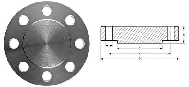 Blind Flanges manufacturer india