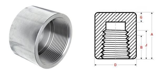 Forged Fittings Cap manufacturer india