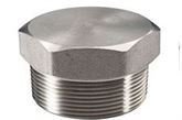 forged fitting plug manufacturer