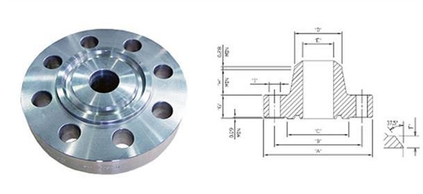 Ring Joint Flanges manufacturer india