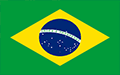 Carbon Steel Flanges Supplier in Brazil