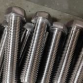 Hex Bolts