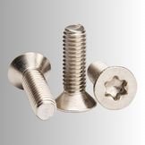 Torx Screw
