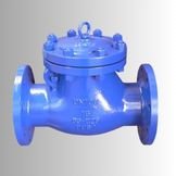 Check Valve