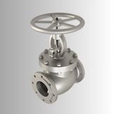 Globe Valve