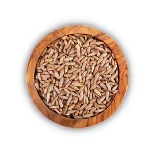 Rye