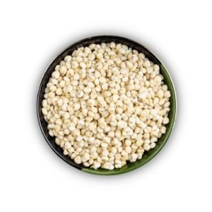 Sorghum