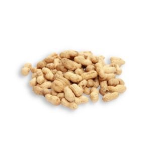 Groundnut