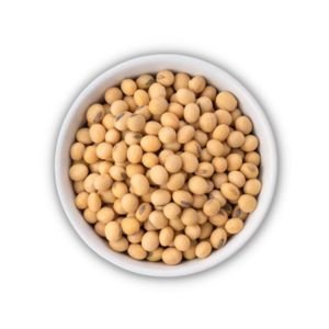 Soybean Seeds