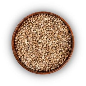 Sunhemp Seeds