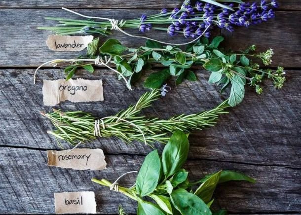 Herbs