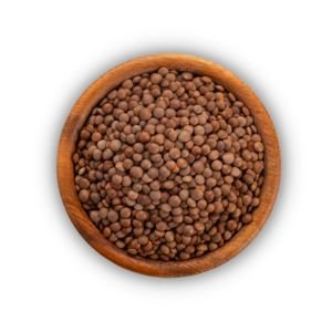 Brown Lentils