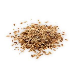 Dill Seeds