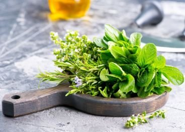 Herbs