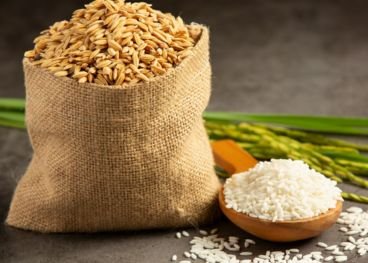 Cereal Grains & Rice