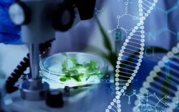 Biotech Industry