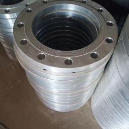Slip On Flanges