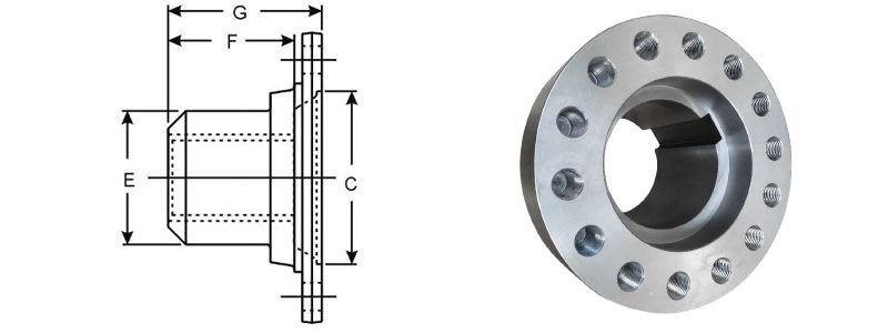 Companion Flanges Manufacturer