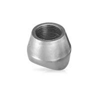 Sockolet Fittings
