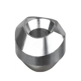 Weldolet Fittings Supplier