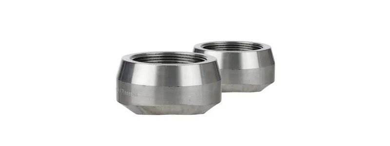  Weldolet Fittings Manufacturer 