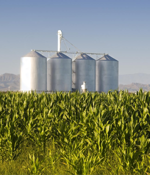 Fertilizer Industry