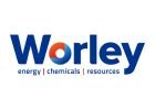 Worley